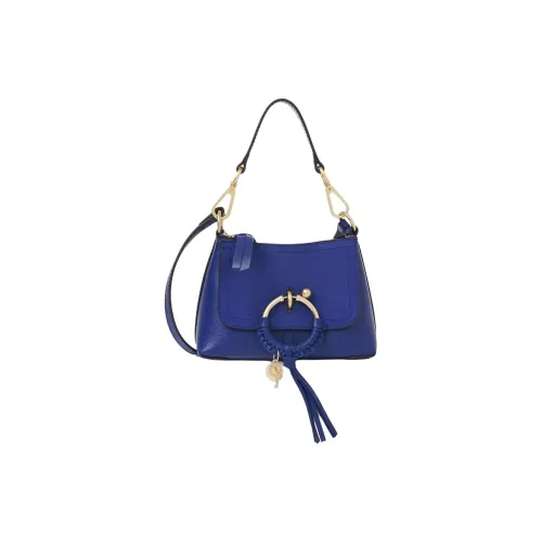 See By Chloe JOAN Series Корова крупнозернистая текстура кожа с искусственной замшей Корова кожа Сумка через плечо Мини