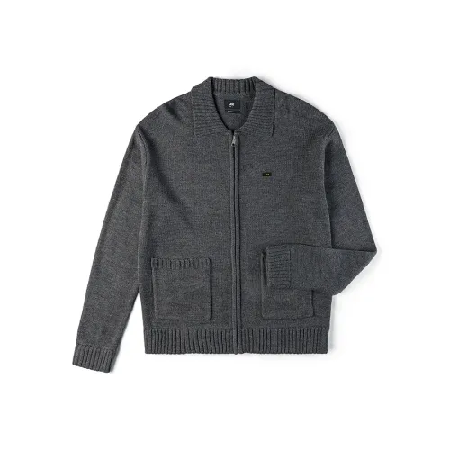 Lee Железно-серый Мужской Свитеры