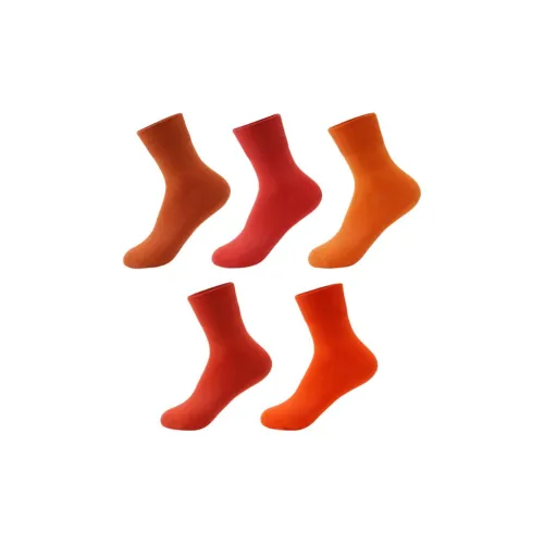 MAXDAVID Max99137 2 Sunset Afterglow Women's MID Shin Sock