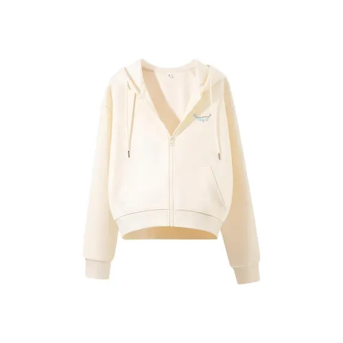 JEANSWEST Женские Свитшоты