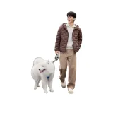 Каштановый коричневый