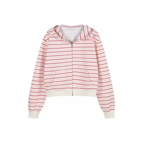 REMOULD Розовый Женский Свитшот