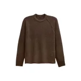 Еж коричневый