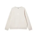 A00 Лунный серый