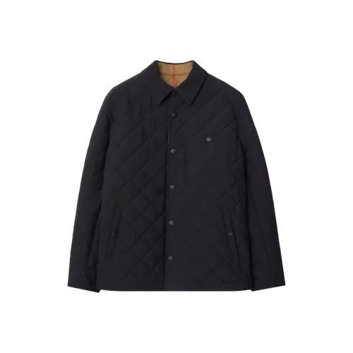 Burberry Темно-синий Мужской Пуховик