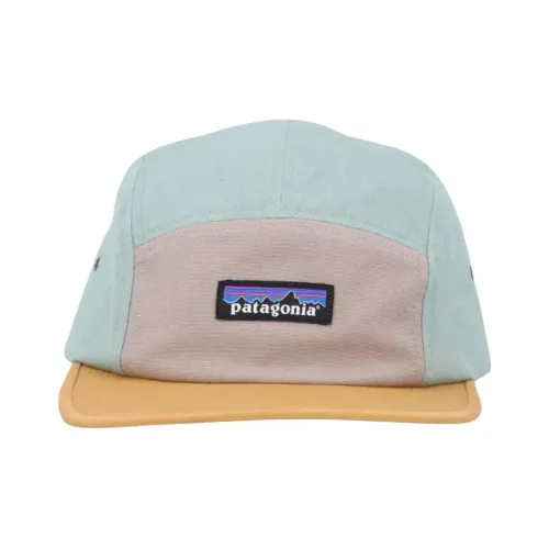 Patagonia Organic Cotton Кепки Мужские Aqua Blue Yellow Gray