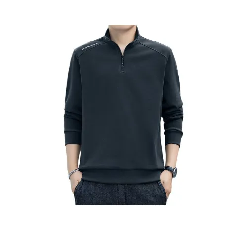 PIERRE CARDIN Мужские Свитшоты