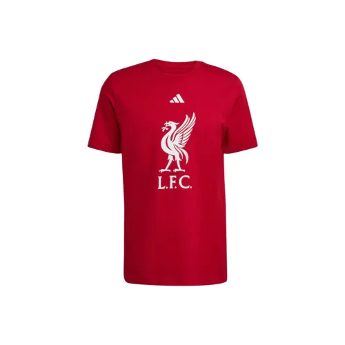 Adidas LIVERPOOL FC DNA Graphic T Рубашка Мужская