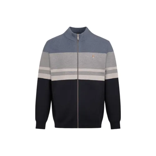 Hush Puppies Мужские Свитера