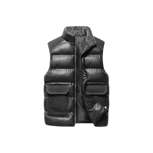 PIERRE CARDIN Одежда Пальто Жилет Мужской