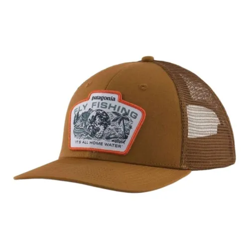 Patagonia Переработанный Рыболовная сеть Кепки Унисекс Коричневый