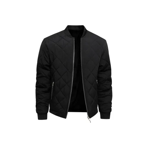 PIERRE CARDIN Одежда Пальто Пуховик Мужской