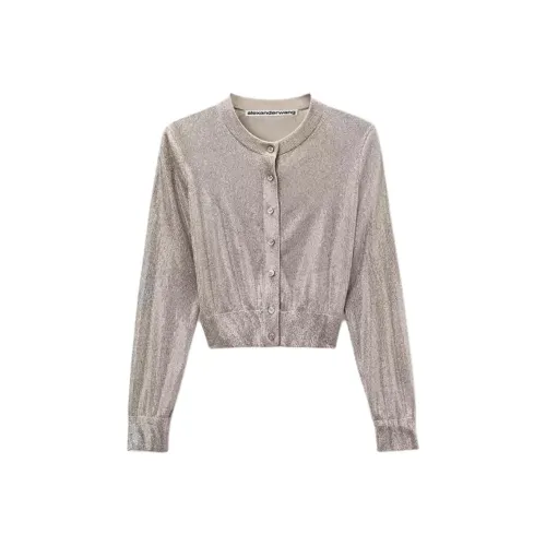 Alexander Wang Fw25 Трикотаж Женский