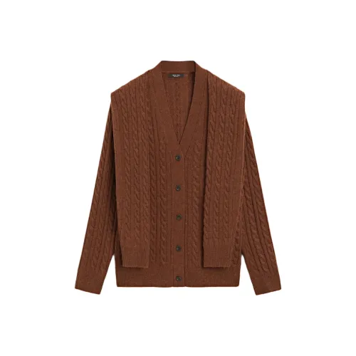 Massimo Dutti Коричневые Женские Свитера
