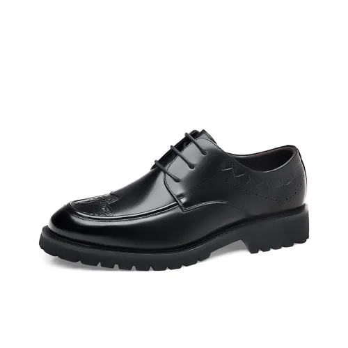 HD Derby Обувь Туфли Мужские