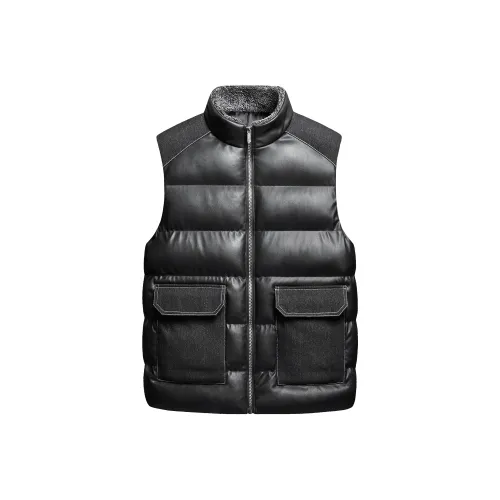 PIERRE CARDIN Одежда Пальто Жилет Мужской