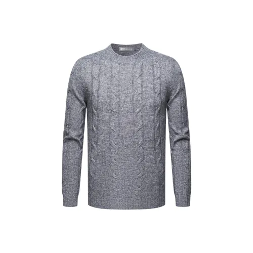 Red bean Стальной Железо-серый Мужские Свитера