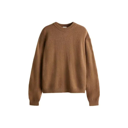 H M Коричневые Женские Свитера