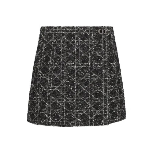 DIOR FW25 Повседневные шорты Женские