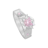 Зимний Spirit Парные кольца - издание Wang Donger