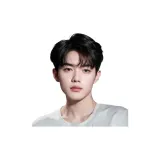 Темный чайный