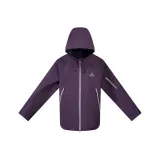 Сливовый фиолетовый