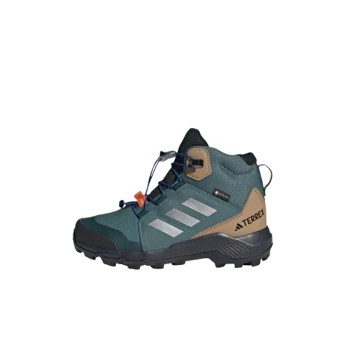 Adidas Terre MID Топ Детская Туристическая Обувь Синий Зеленый