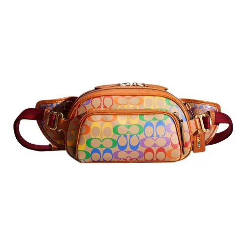 COACH Hitch Подпись Покрытый холст с утонченной телячьей кожей Одно плечо Бананка Большой Женский Коричневый