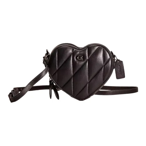 COACH Кожа Сердечная Сумка Сумка через плечо Маленькая Женская Олово и Черный