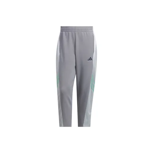 Adidas Баскетбол FW25 Performance Повседневные брюки Мужские