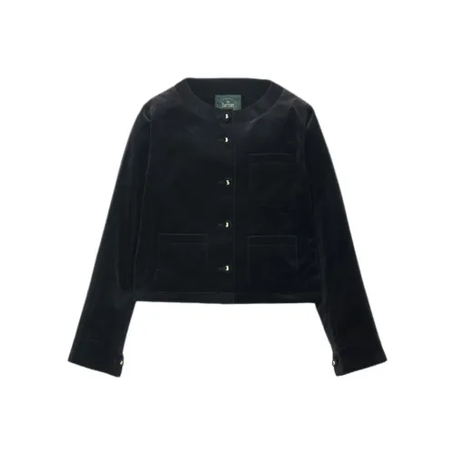 The Barnnet FW25 Eight Milk CLASSY Бархат Без воротника Куртка_Черный Куртки Пальто Женские