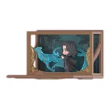 Подтверждение - Северус Снейп (Разборка и упаковка)