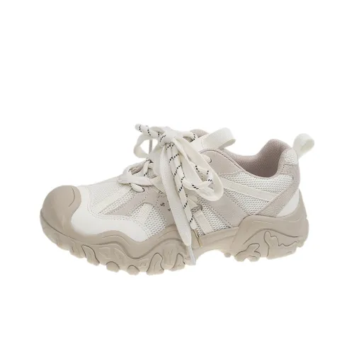 Yang Nianhua Покрытие Низкий Топ Повседневная Обувь Женская