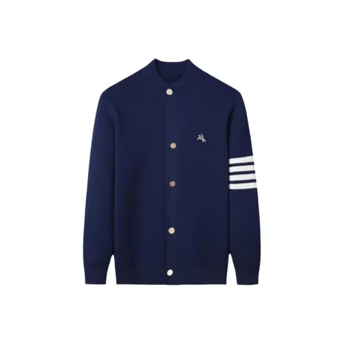 POLOMEISDO Мужские Свитера