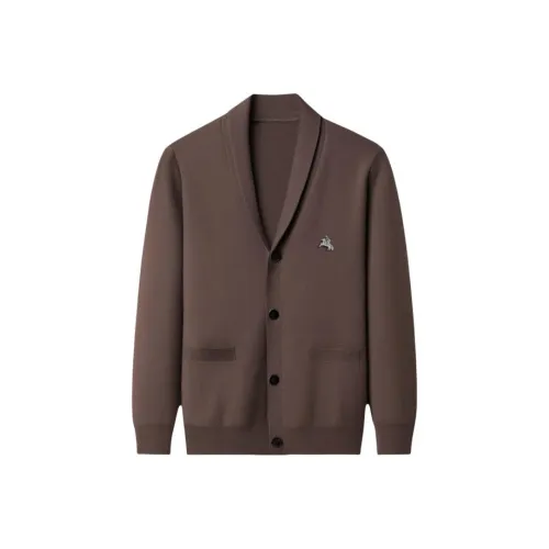 POLOMEISDO Мужские Свитера