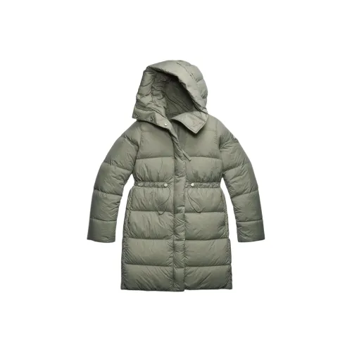 Canada Goose FW25 Down Jacket Parka Coat Women's Pollination Green