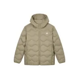 Дракон kui Пальма