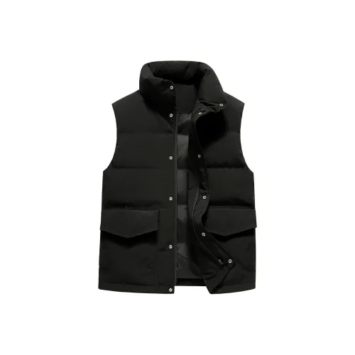 Комбо Fashion Versatile Воротник-стойка Укороченный Пуховые жилеты Мужской