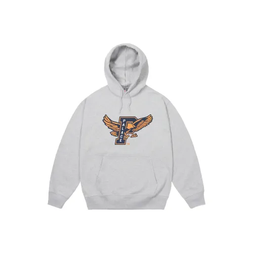 PALACE FW25 DROP5 Осенне-зимняя коллекция EAGLES Толстовка с капюшоном Унисекс