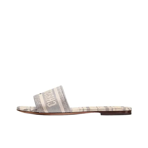 DIOR Dway Слипоны Женские Серые