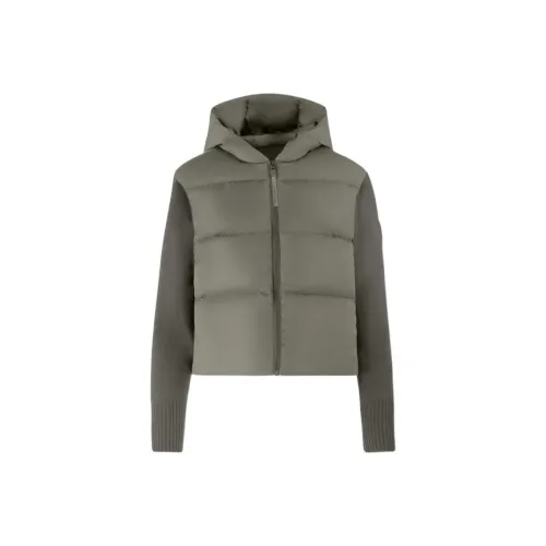 Canada Goose HyBridge Series SS25 Пуховик Женские Полынно-зеленый