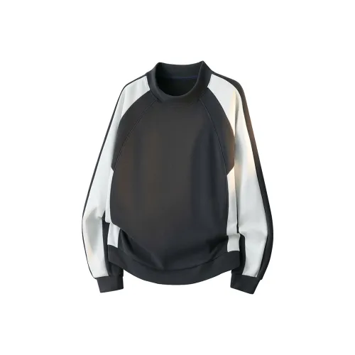 CariteSport Полуводолазка Dralon Свитшот Мужской