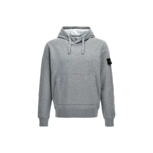 STONE ISLAND Серый Мужской Свитшот