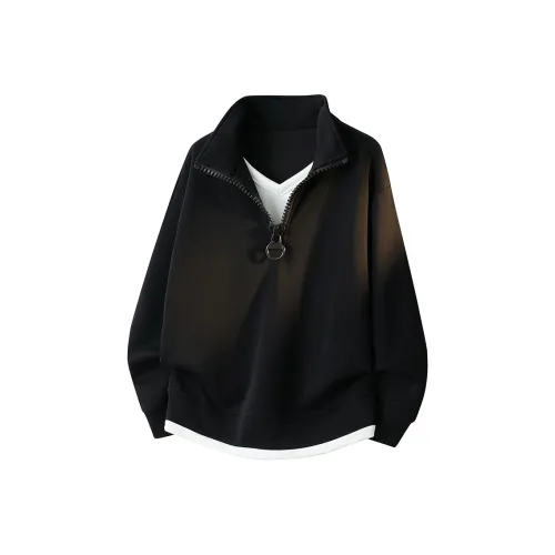 CariteSport Mock Двухкомпонентный худи с полуворотником мужская модель