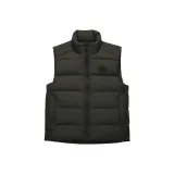 9782 Вулканы Серый