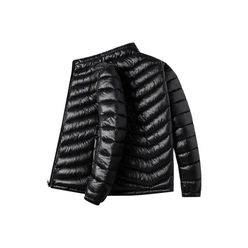 D W Мужские пуховики