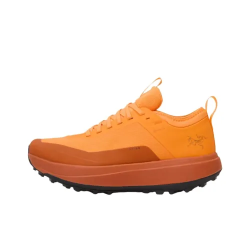 Arcteryx SYLAN GTX Водонепроницаемый и дышащий Oтскок Беговые кроссовки Мужской Оранжевый