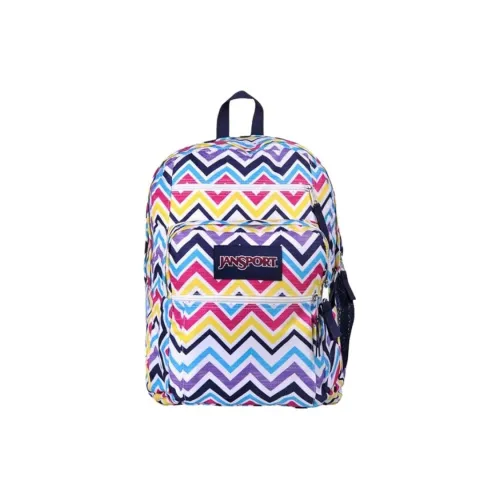 JanSport Ткань Рюкзак Большой Унисекс Фиолетовый Синий