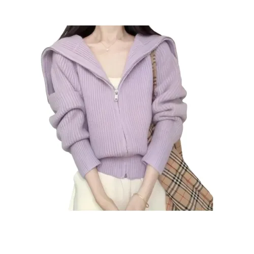 ZVJH Фиолетовый Женский Трикотаж