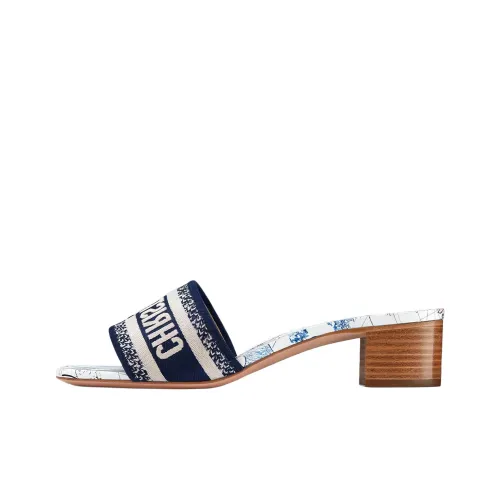 DIOR Dway Totem Слипоны 3 см Женские Blue